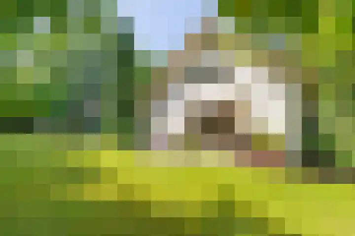Nieuwe Blaricummerweg 3 Huizen thumbnail 51