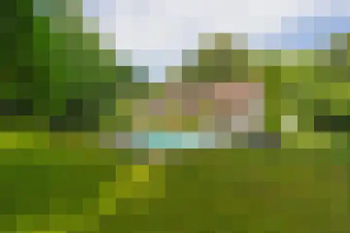 Nieuwe Blaricummerweg 3 Huizen thumbnail 53