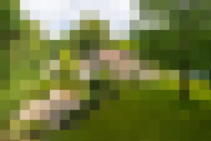 Nieuwe Blaricummerweg 3 Huizen thumbnail 55