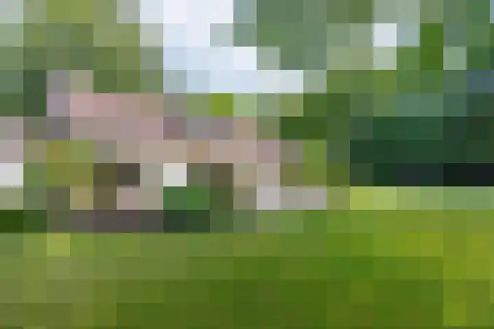Nieuwe Blaricummerweg 3 Huizen thumbnail 56