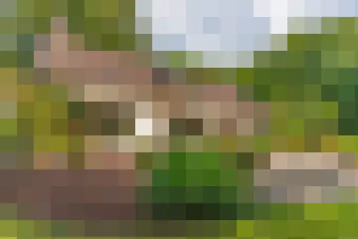 Nieuwe Blaricummerweg 3 Huizen thumbnail 57