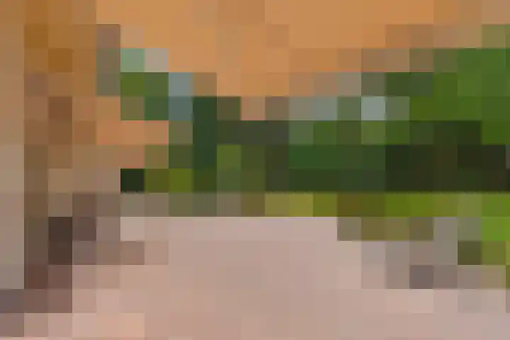 Nieuwe Blaricummerweg 3 Huizen thumbnail 59