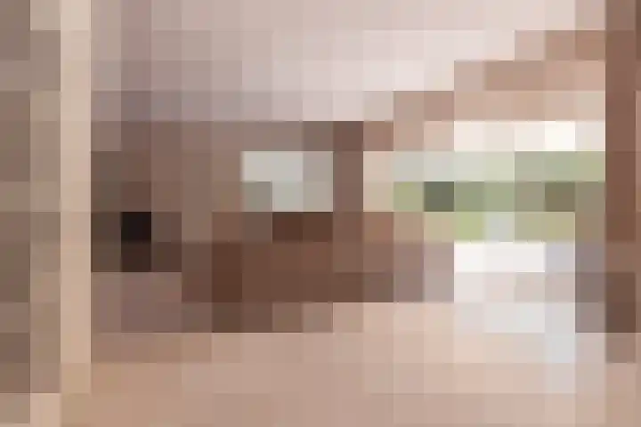 Nieuwe Blaricummerweg 3 Huizen thumbnail 6