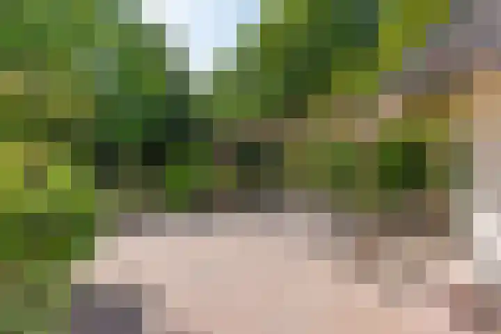 Nieuwe Blaricummerweg 3 Huizen thumbnail 60