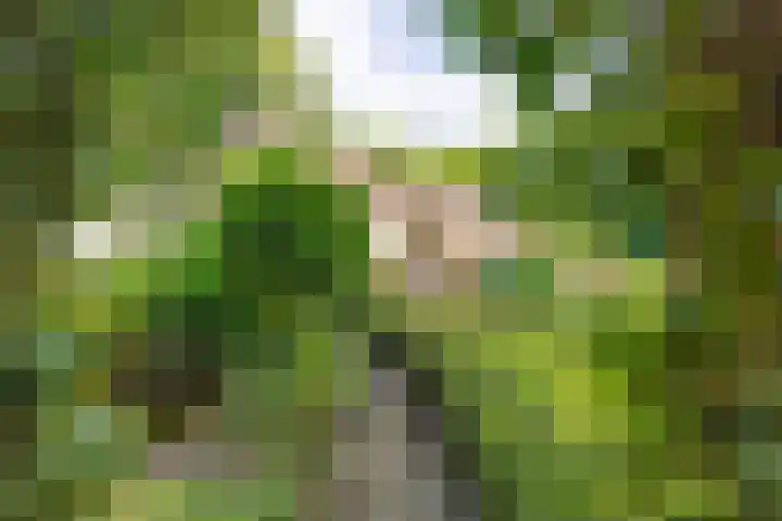 Nieuwe Blaricummerweg 3 Huizen thumbnail 61