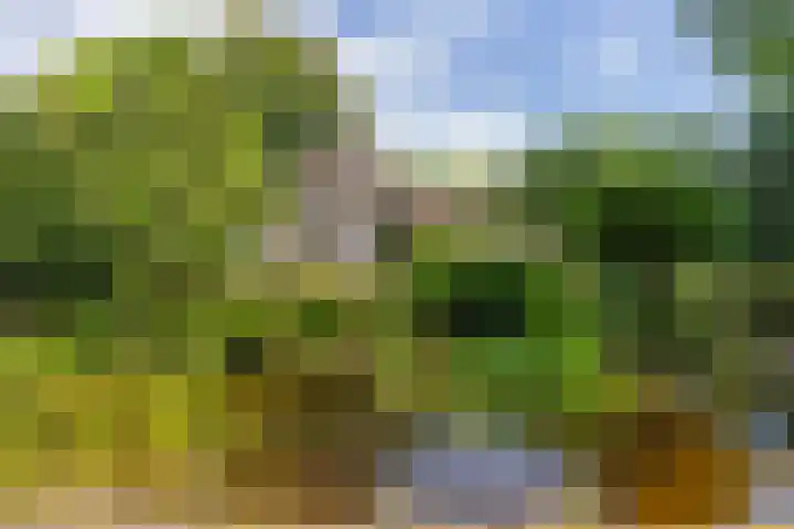 Nieuwe Blaricummerweg 3 Huizen thumbnail 62