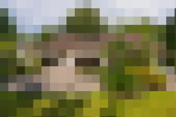 Nieuwe Blaricummerweg 3 Huizen thumbnail 63