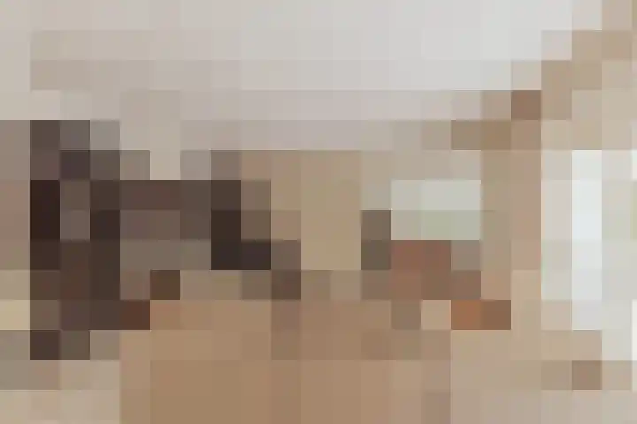 Nieuwe Blaricummerweg 3 Huizen thumbnail 9