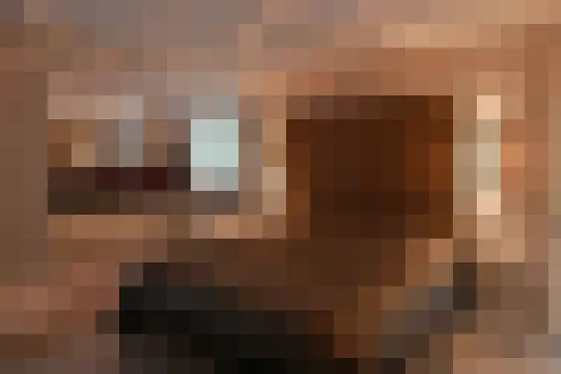 Nieuwe Blaricummerweg 46 Huizen thumbnail 10