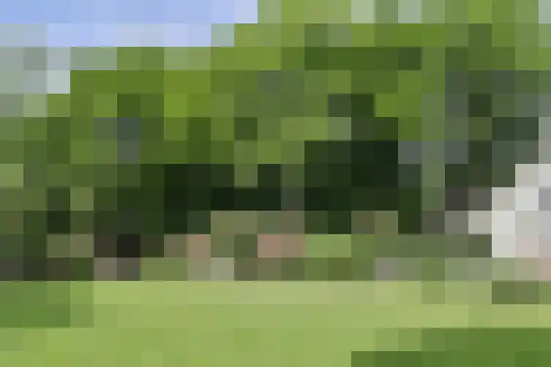 Nieuwe Blaricummerweg 46 Huizen thumbnail 17