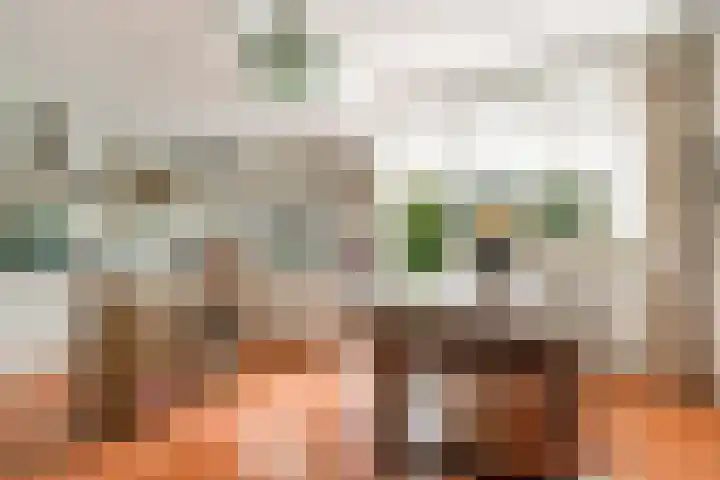Nieuwe Blaricummerweg 7 Huizen thumbnail 16