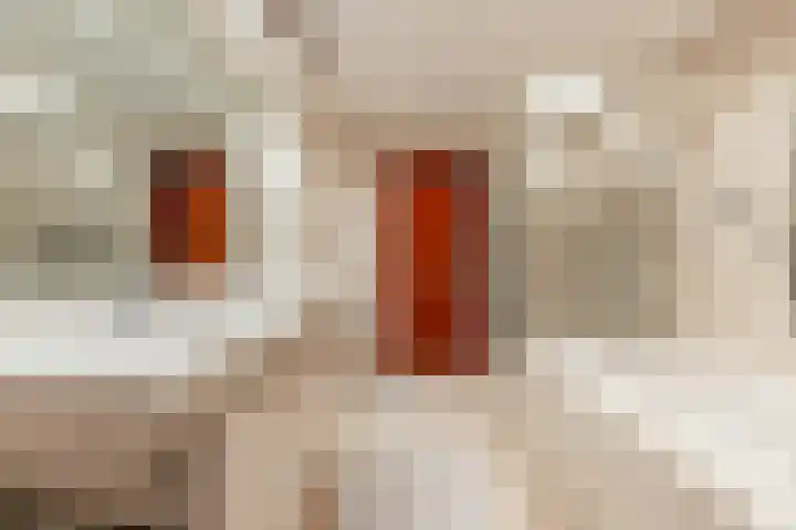 Nieuwe Blaricummerweg 7 Huizen thumbnail 21
