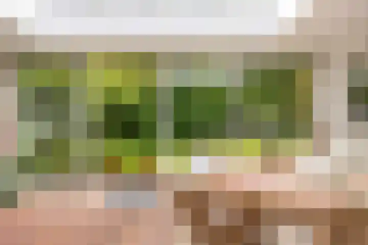 Nieuwe Blaricummerweg 7 Huizen thumbnail 27