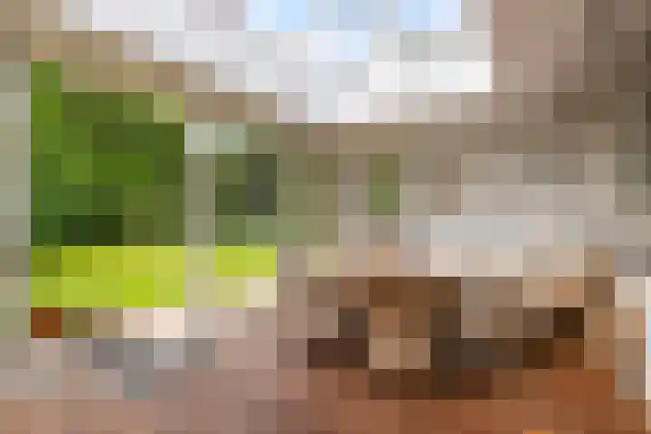Nieuwe Blaricummerweg 7 Huizen thumbnail 28