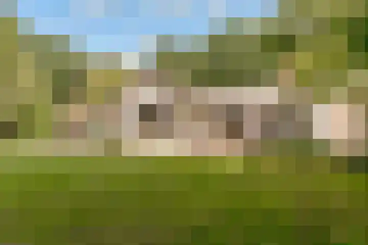 Nieuwe Blaricummerweg 7 Huizen thumbnail 32