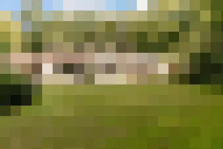 Nieuwe Blaricummerweg 7 Huizen thumbnail 33