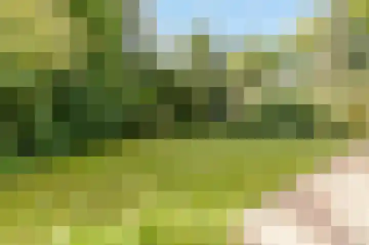 Nieuwe Blaricummerweg 7 Huizen thumbnail 34