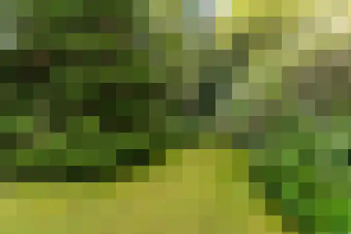 Nieuwe Blaricummerweg 7 Huizen thumbnail 35