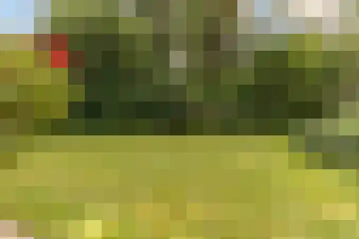Nieuwe Blaricummerweg 7 Huizen thumbnail 36