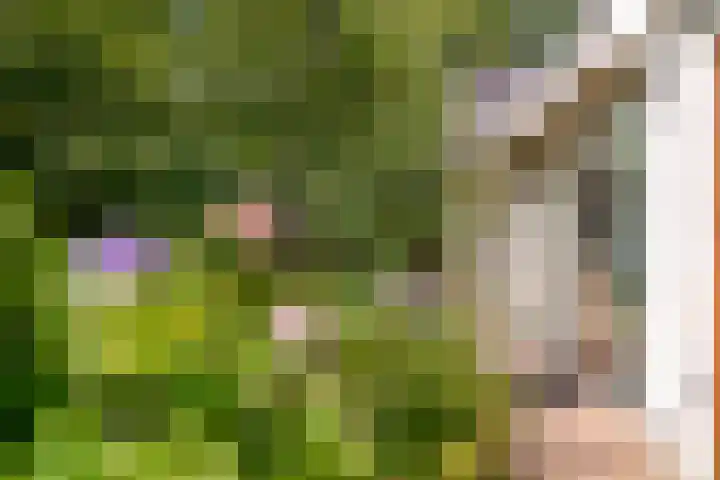 Nieuwe Blaricummerweg 7 Huizen thumbnail 37