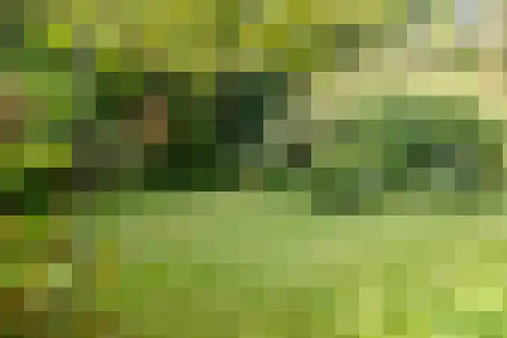 Nieuwe Blaricummerweg 7 Huizen thumbnail 38