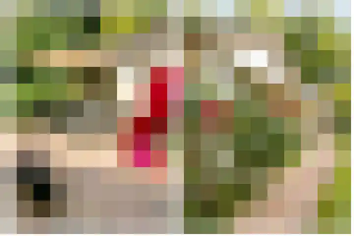 Nieuwe Blaricummerweg 7 Huizen thumbnail 39