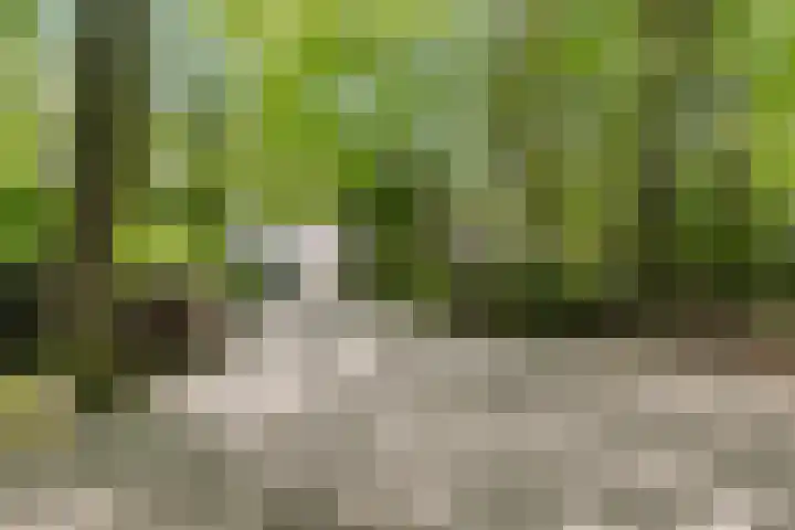 Nieuwe Blaricummerweg 7 Huizen thumbnail 4