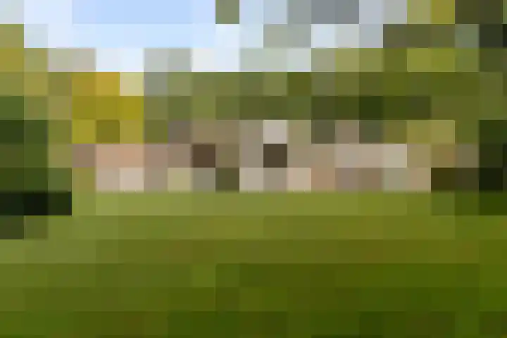 Nieuwe Blaricummerweg 7 Huizen thumbnail 40