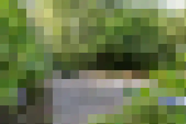 Nieuwe Blaricummerweg 7 Huizen thumbnail 41
