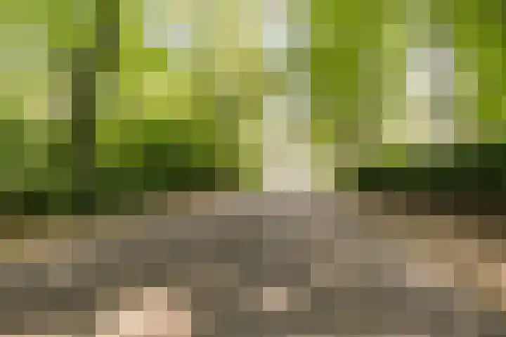 Nieuwe Blaricummerweg 7 Huizen thumbnail 42