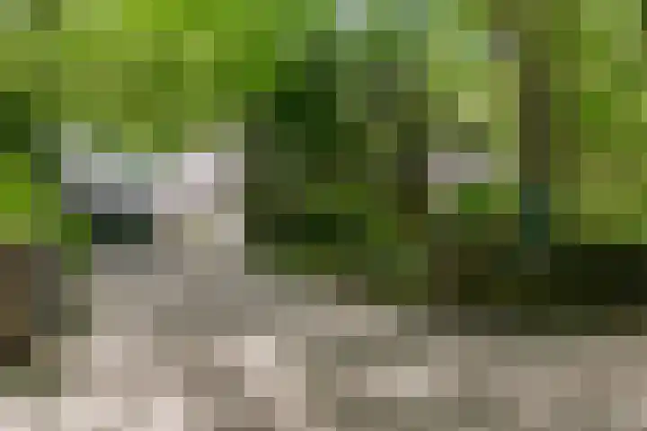 Nieuwe Blaricummerweg 7 Huizen thumbnail 43