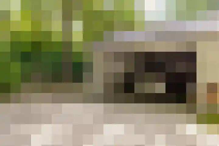 Nieuwe Blaricummerweg 7 Huizen thumbnail 45