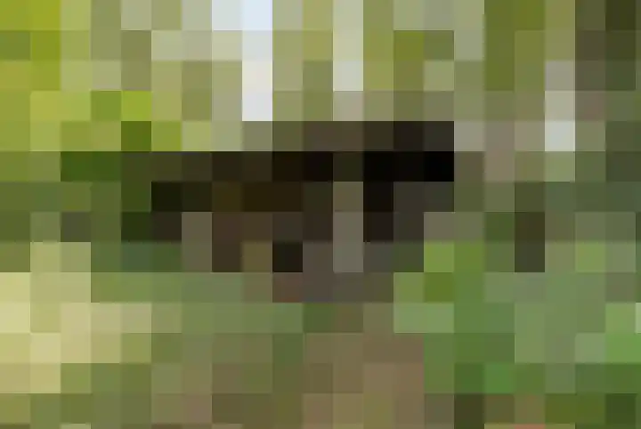 Nieuwe Blaricummerweg 7 Huizen thumbnail 46