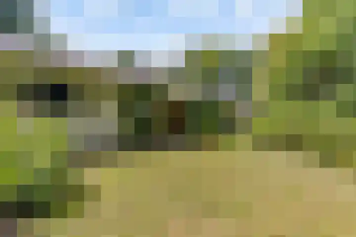 Nieuwe Blaricummerweg 7 Huizen thumbnail 5