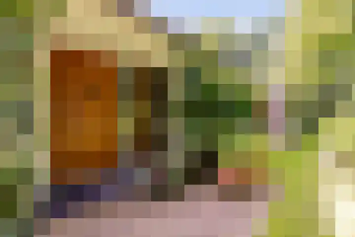 Nieuwe Blaricummerweg 7 Huizen thumbnail 6
