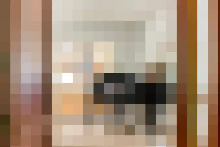 Nieuwe Blaricummerweg 7 Huizen thumbnail 9