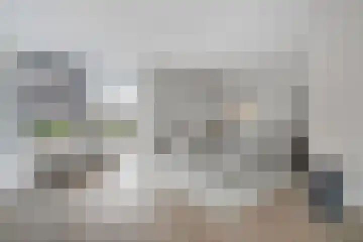 Nieuwe Bleek 17 Haaksbergen thumbnail 11
