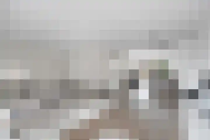 Nieuwe Bleek 17 Haaksbergen thumbnail 12