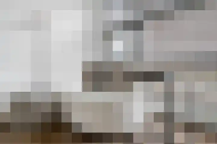 Nieuwe Bleek 17 Haaksbergen thumbnail 14