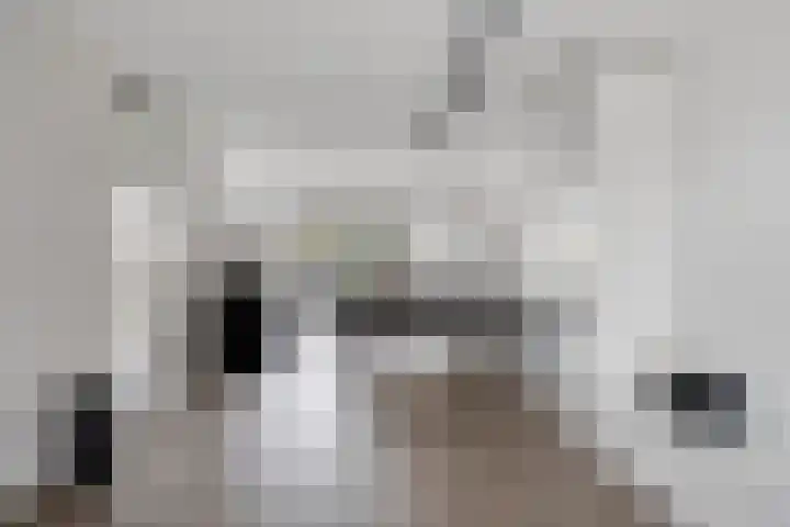 Nieuwe Bleek 17 Haaksbergen thumbnail 15