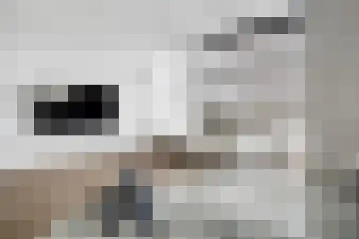 Nieuwe Bleek 17 Haaksbergen thumbnail 16