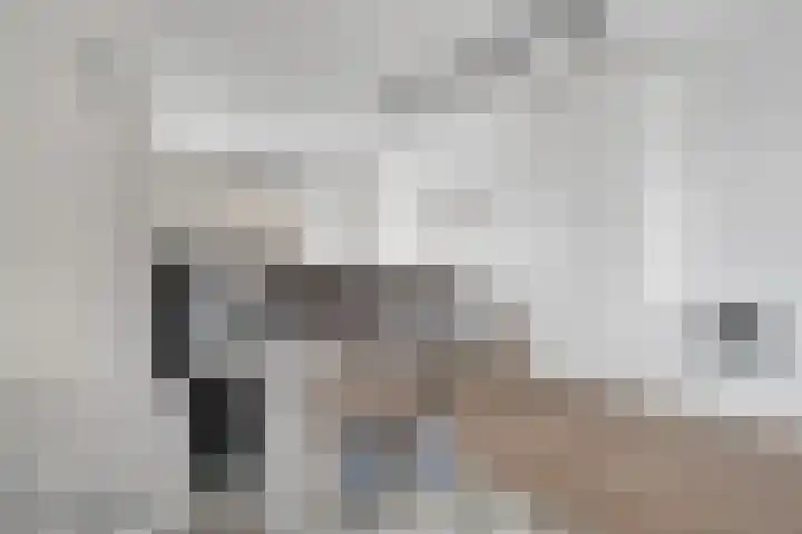 Nieuwe Bleek 17 Haaksbergen thumbnail 17