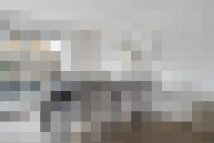 Nieuwe Bleek 17 Haaksbergen thumbnail 22
