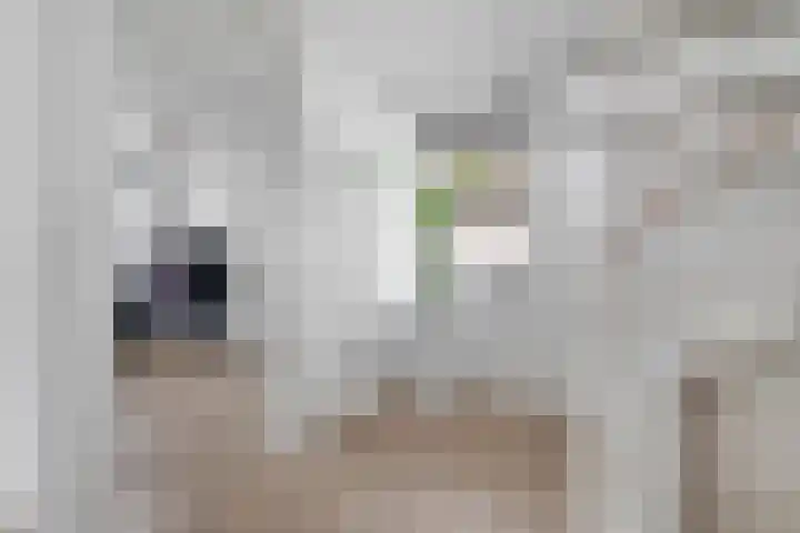 Nieuwe Bleek 17 Haaksbergen thumbnail 25