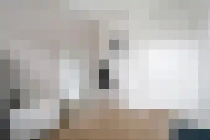 Nieuwe Bleek 17 Haaksbergen thumbnail 27