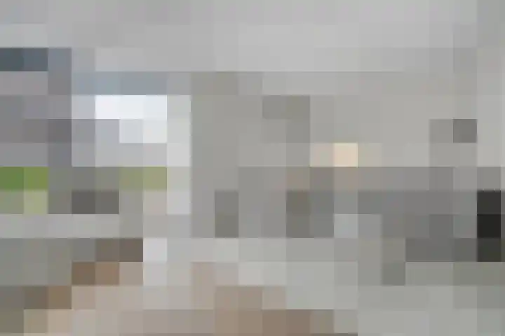Nieuwe Bleek 17 Haaksbergen foto 3