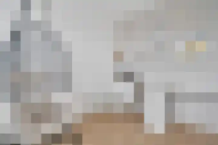 Nieuwe Bleek 17 Haaksbergen thumbnail 34