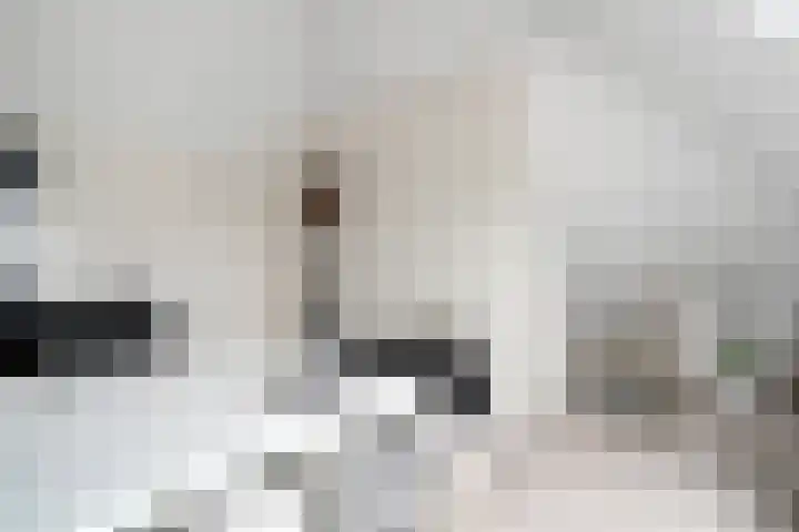 Nieuwe Bleek 17 Haaksbergen thumbnail 37