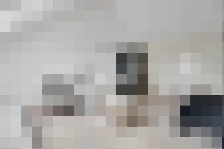 Nieuwe Bleek 17 Haaksbergen thumbnail 38