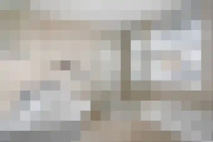Nieuwe Bleek 17 Haaksbergen thumbnail 4